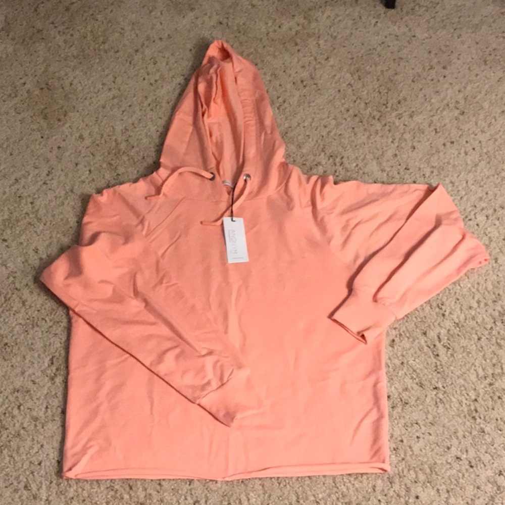 Antonym Peach Hoodie